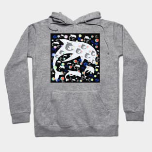 Dolphin Pattern Hoodie